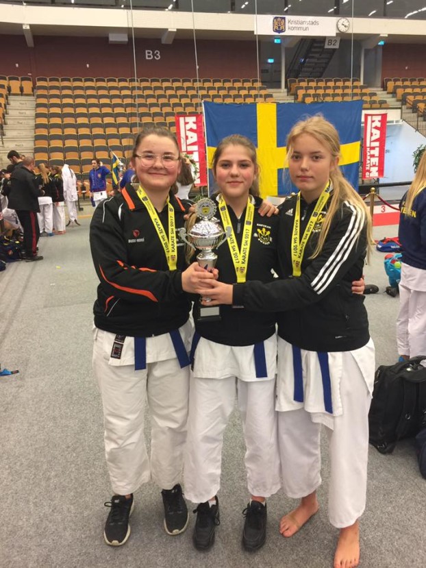 smbrons-lag-2017